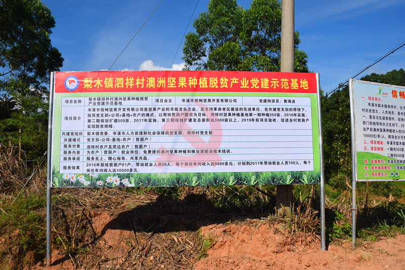 信暢堅果精準(zhǔn)扶貧項目泗祥基地